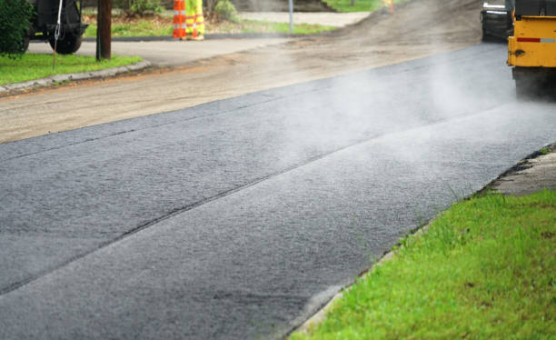 Best Professional Driveway Pavers  in Farwell, TX